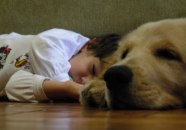 pes a chlapec spí vedle sebe